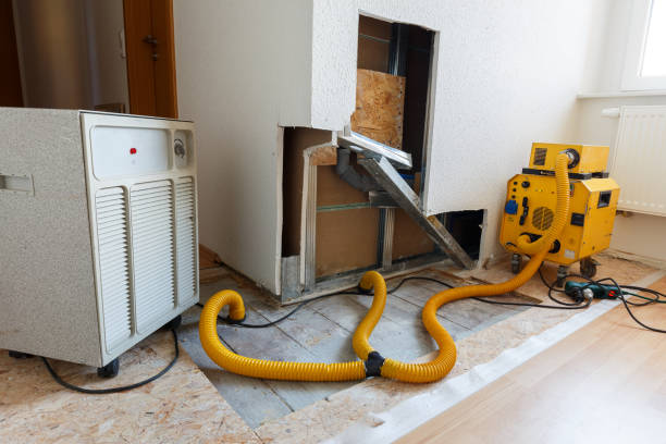 Best Environmental Consulting for Mold Prevention  in Lampasas, TX